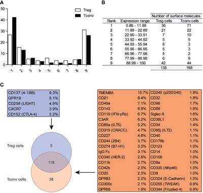 Identification and classification of distinct surface markers of T regulatory cells